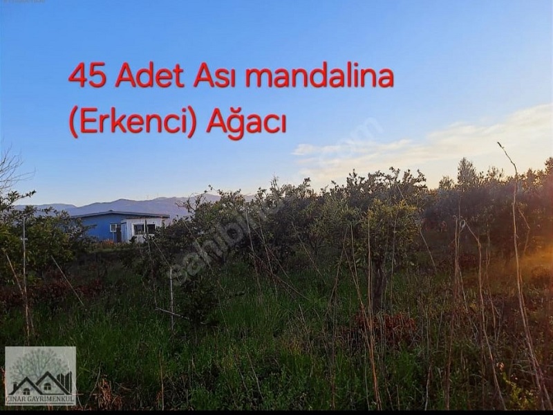 Çınar Gayrimenkul